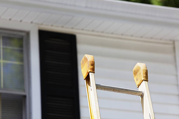 Best Siding for New Construction  in Temple Terrace, FL